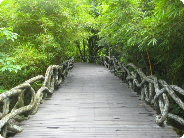 spirit communication in dreams